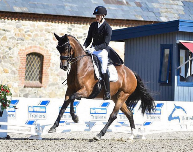 Daniel Bachmann Andersen and I’m Like Nobody Else BB : Photo © Ridehesten