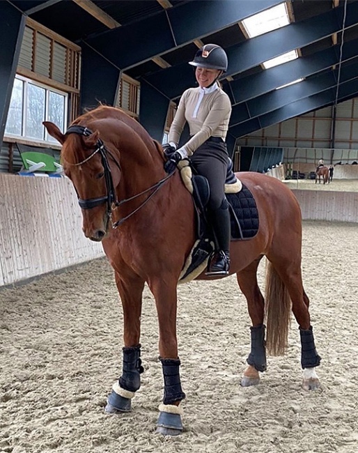 Karoline Ravnsbo, the new rider of Anna Zibrandtsen's Dorado