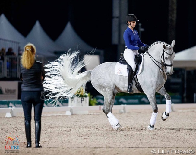 U.S. Olympian and PRE rider Sabine Schut-Kery teaching a masterclass during USPRE Week 2022. Here she is training Sophia Schults on Conocido HGF :: Photo © Lily Forado