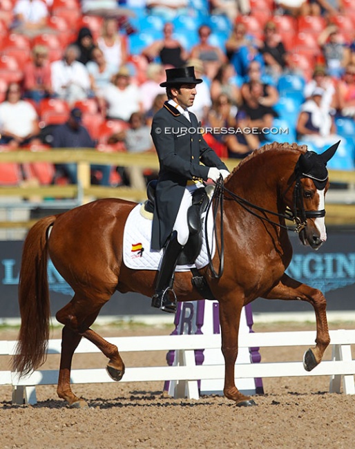 Claudio Castilla Ruiz and Alcaide at the 2017 European Championships in Gothenburg :: Photo © Astrid Appels