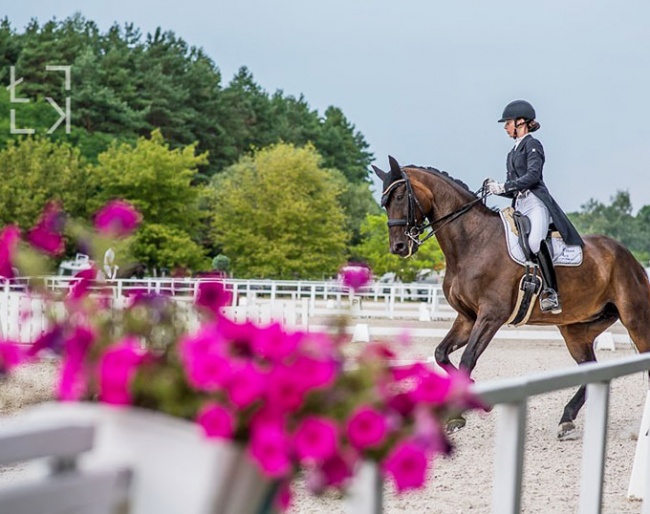 Top level dressage competition at Stable Unikornis in Hungary :: Photo © Lukasz Kowalski