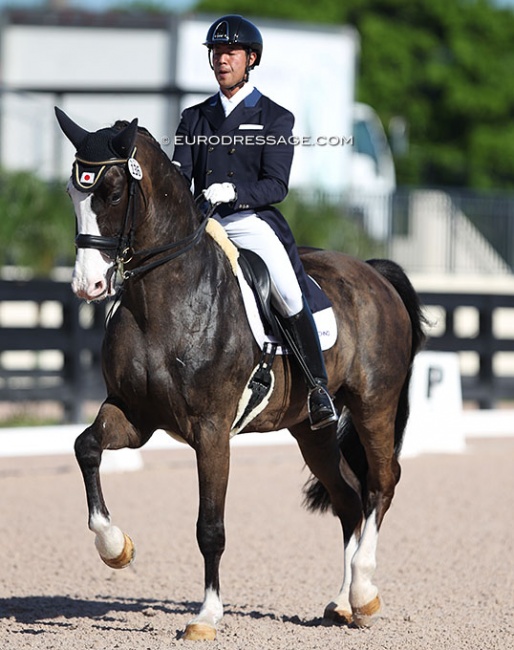 Masanao Takahashi and Eaton H at the 2020 CDN Wellington :: Photo © Astrid Appels