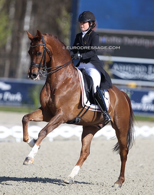 Charlotte Defalque and Botticelli are newcomers to the senior A-squad after personal best performances at the 2022 CDI Doha :: Photo © Astrid Appels