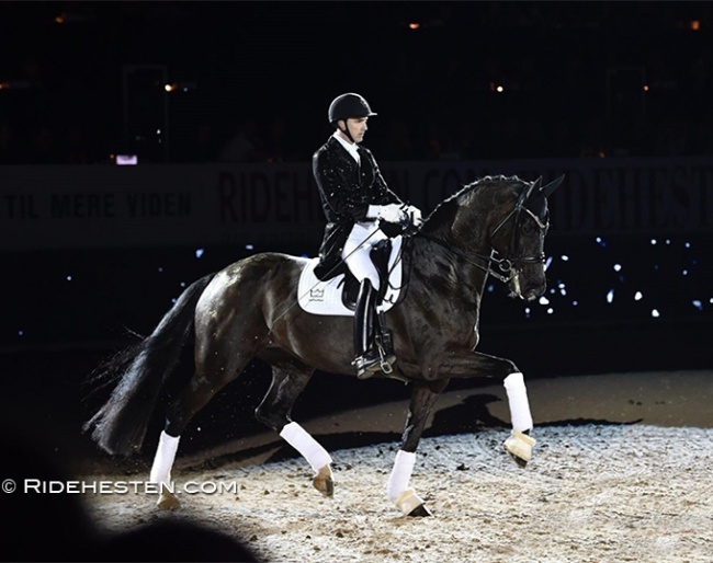 Andreas Helgstrand and Queenparks Wendy at the gala show of the 2022 Danish Warmblood Stallion Licensing :: Photo © Ridehesten