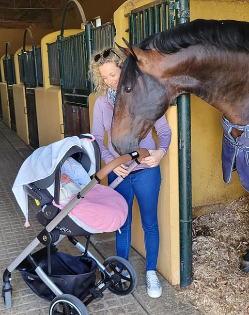 Maria introducing baby Rosarinho to her Olympic ride, Fenix de Tineo