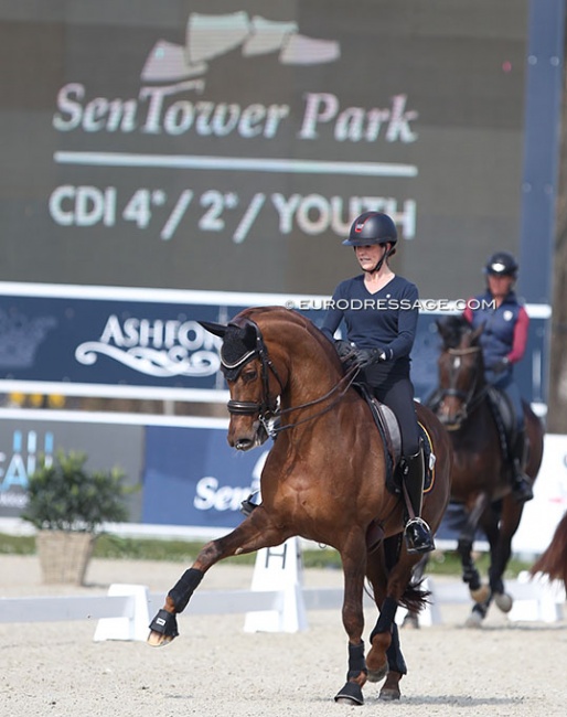 Larissa Pauluis and Valentin training in the main arena for the 2022 CDI Opglabbeek :: Photo © Astrid Appels