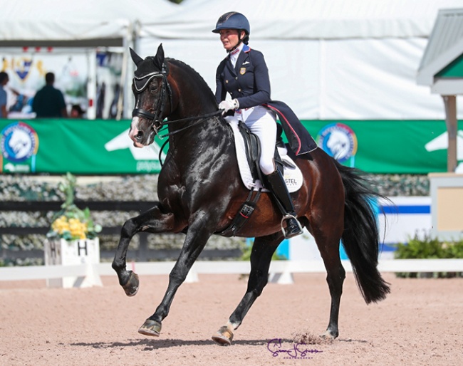 Charlotte Jorst and Nintendo competing in the 3* GP Special at the 2022 CDIO Wellington :: Photo © Sue Stickle