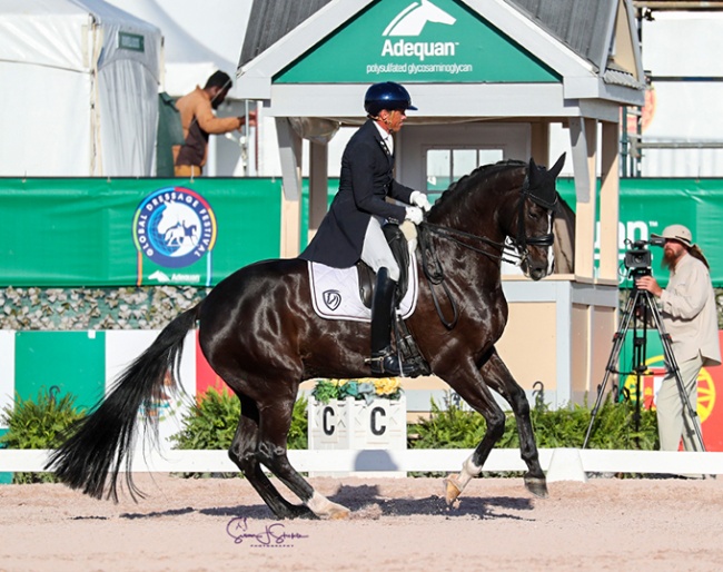 Christoph Koschel on Dünensee at the 2022 CDI Wellington - Week 11 :: Photo © Sue Stickle