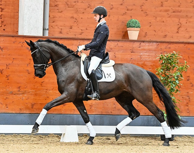 Moonlight Sonata (by Morricone x Lauries Crusador xx x Raphael) :: Photos © Beelitz & Gerstkorn