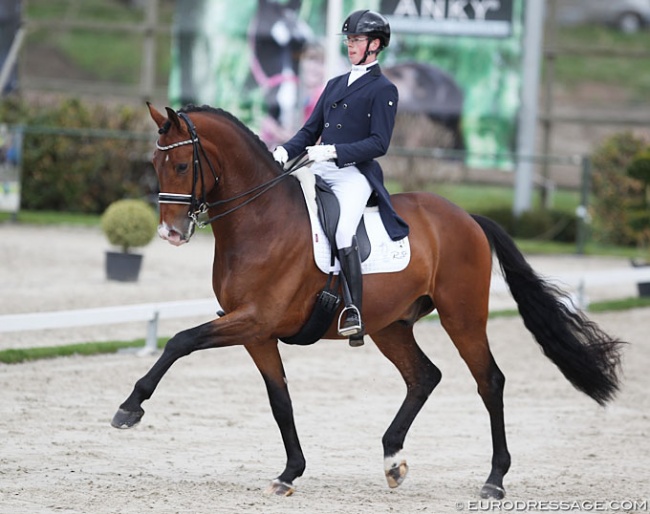 Robin van Lierop and Cupido at the 2018 CDI Nieuw en St. Joosland :: Photo © Astrid Appels