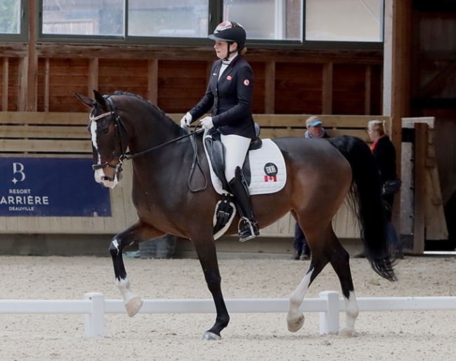 Roberta Sheffield and Fairuza earned a score of 70.294% in the FEI Individual Grade III test :: Photo ©  Astrid Ringot