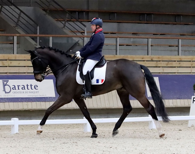 Vladimir Vinchon and Fidertanz for Rosi at the 2022 CPEDI Deauville :: Photo © Astrid Ringot