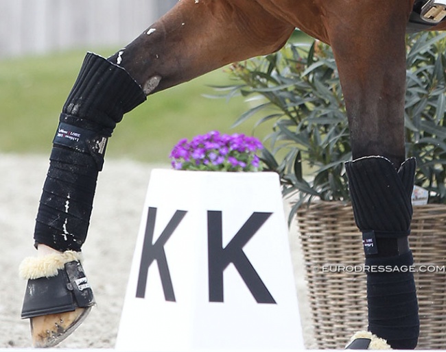 XXXL wraps for bandages, a new fashion trend in the dressage world :: Photo © Astrid Appels