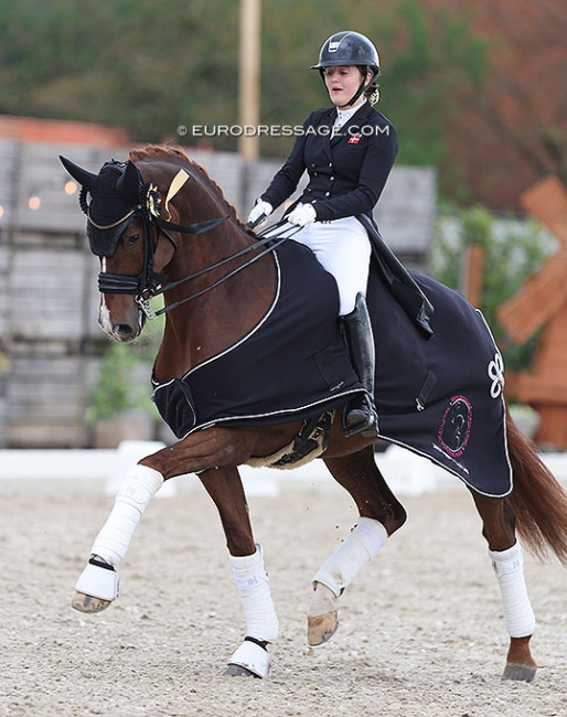 Thilde Rude Hare and Fred the Red at the 2022 CDI Sint-Truiden :: Photo © Astrid Appels