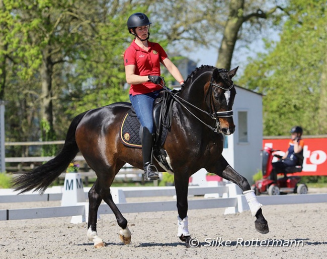 Belgian grade V rider Ulricke Dekyezer’s Sir William caught the eyes of many during their training :: Photo © Silke Rottermann