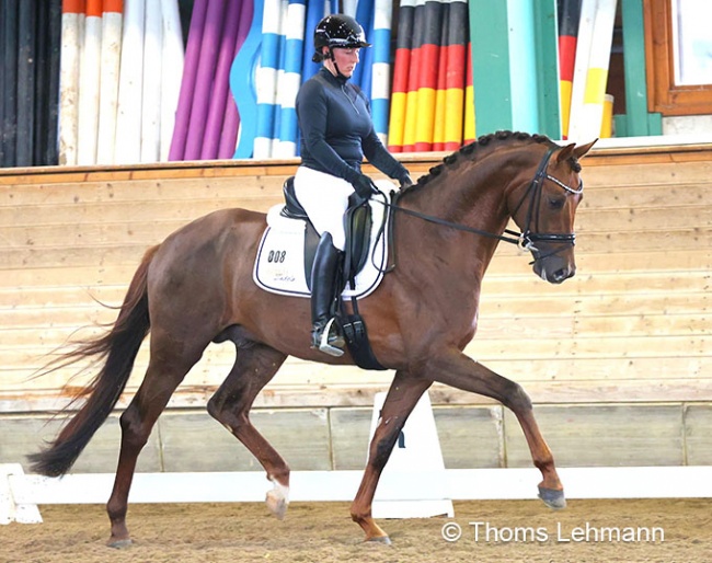 Jana Freund test riding Dutch Dream at the 2022 Shortened Suitability test in Warendorf :: Photo © Thoms Lehmann