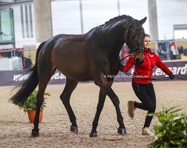 The hot favourites for the title at the 2022 World Cup Final: Jessica von Bredow-Werndl and Dalera BB :: Photo © Petra Kerschbaum