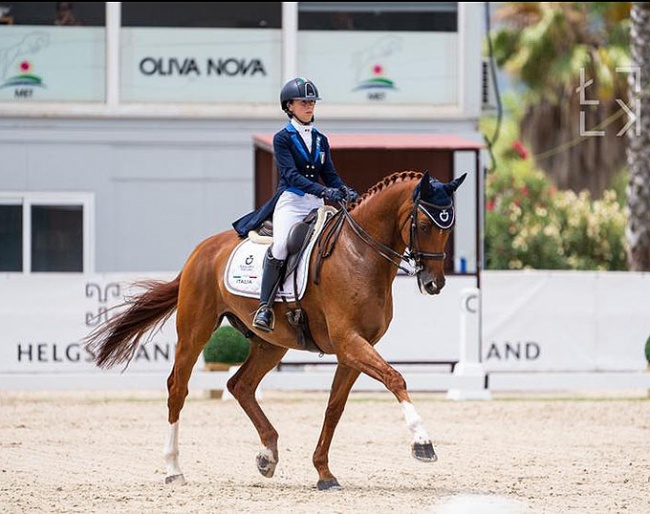 Easy Deasy at the 2021 European Young Riders Championships :: Photo © Lukasz Kowalski