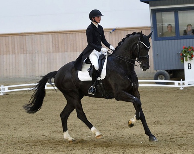 Zodiac (by Blue Hors Zack x De Noir)
