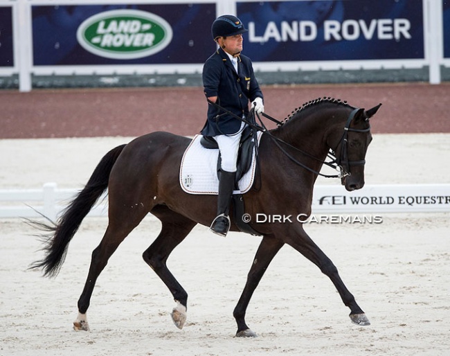 Steffen Zeibig and Feel Good at the 2014 World Equestrian Games :: Photo © Hippofoto