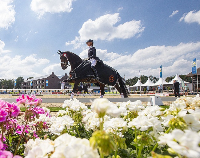 International dressage sport at the 2022 CDI 3* Geesteren