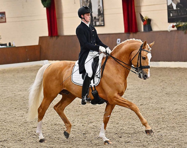 Philipp Ruwe competing the Skeppstrand's home bred Zafferano at the 2022 CDN Ankum :: Photo © Ruchel