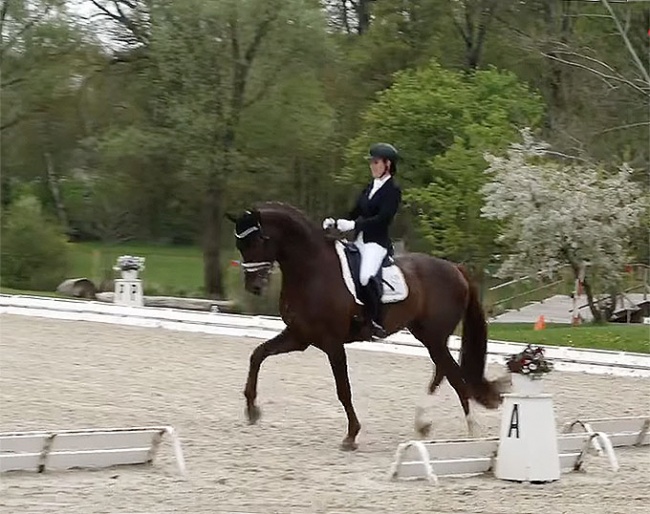Johanna Wadenspanner and Va Bene at the 2022 CDN Ansbach :: Photo © screen shot