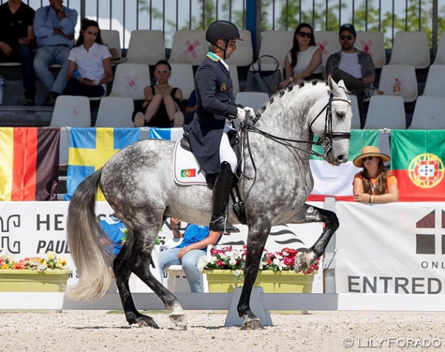 Roberto Brasil and Vila de Sagres' Lusitano stallion Hercules d'Atela at the 2022 CDI Camarma de Esteruelas :: Photo © Lily Forado