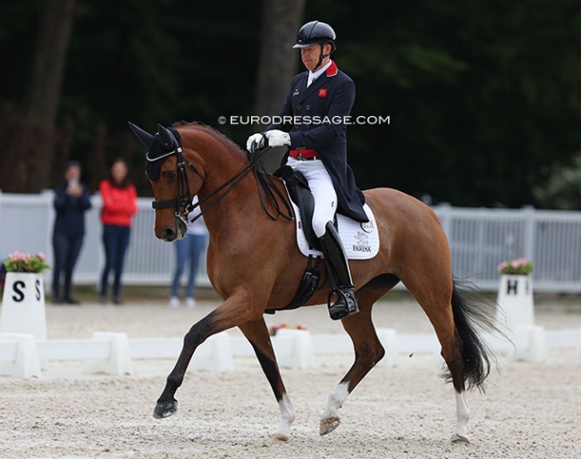 Gareth Hughes and Briolinca at the 2022 CDIO Compiegne :: Photo © Astrid Appels