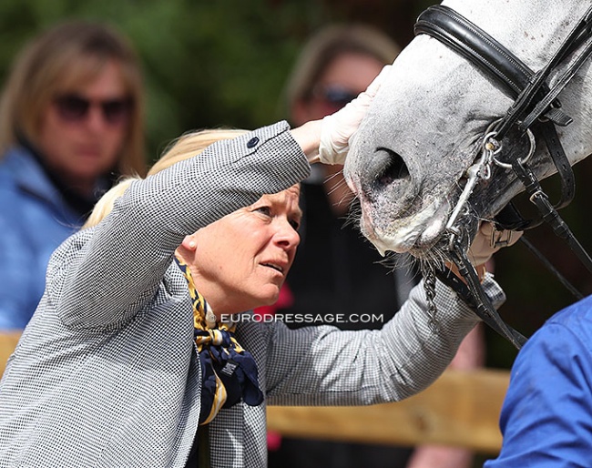 FEI Steward checking bits and noseband at a CDI competition :: Photo © Astrid Appels