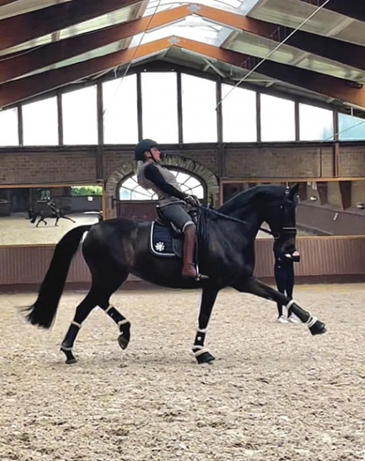 Emma Booth riding Friday V under the watchful eyes of Maree Tomkinson in Krefeld, Germany