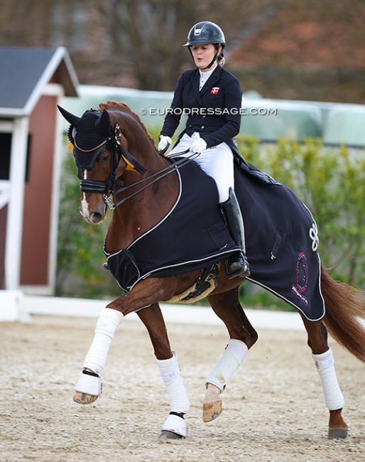 Thilde Rude Hare and Fred the Red at the 2022 CDI Sint-Truiden :: Photo © Astrid Appels