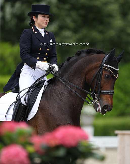 Akane Kuroki and Radames at the 2014 CDI Roosendaal :: Photo © Astrid Appels