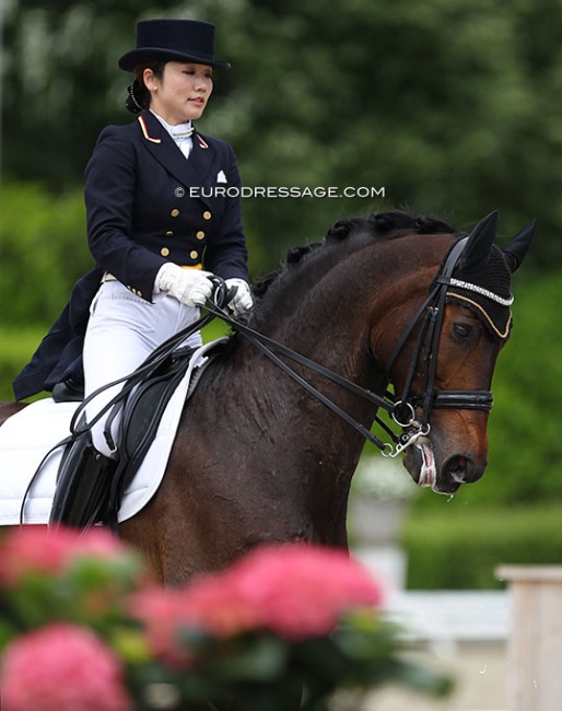 Akane Kuroki and Radames at the 2014 CDI Roosendaal :: Photo © Astrid Appels