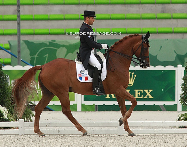 Alexandre Ayache and Lights of Londonderry at the 2014 World Equestrian Games :: Photo © Astrid Appels