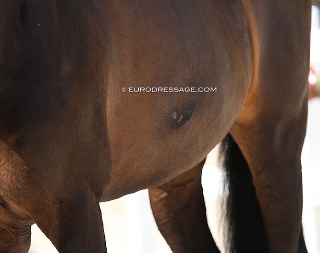 Archive photo of spur lesions :: Photo © Astrid Appels
