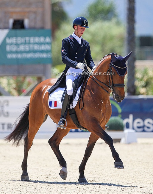 Arthur Barthel on Bambino de Massa at the 2021 European JR/YR Championships :: Photo © Astrid Appels