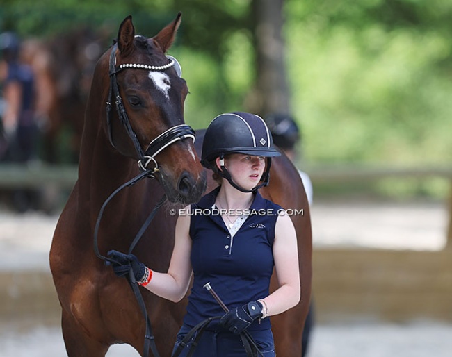 Victoria Campbell with Iotti van Bergsham at the 2022 CDIO Compiegne :: Photo © Astrid Appels