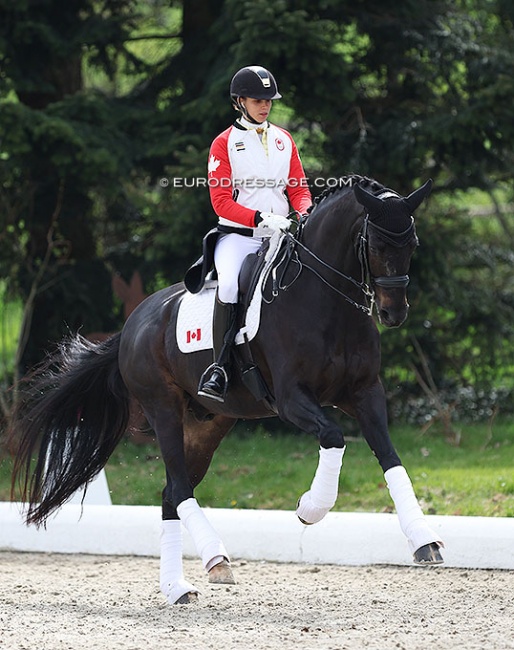 Naima Moreira Laliberte warming up Statesman at the 2022 CDI Hagen, wearing the Canadian team jacket. She was Olympic team reserve in Tokyo :: Photo © Astrid Appels