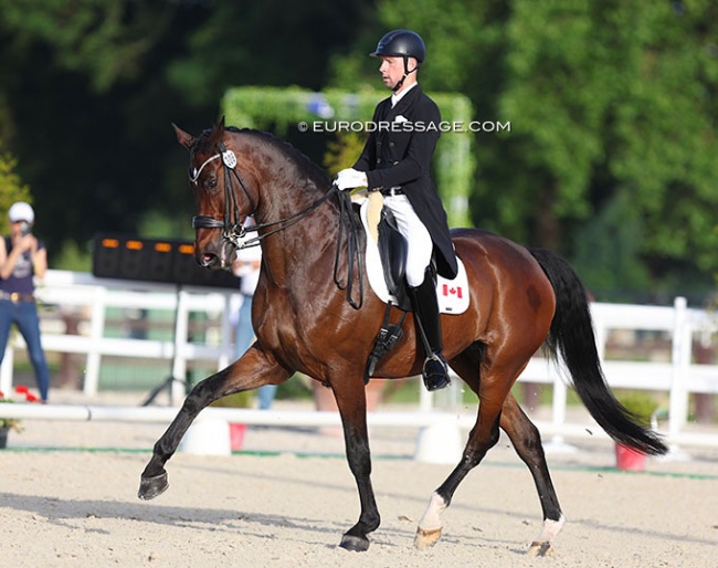 Ryan Torkkeli and Sternenwanderer at the 2022 CDI Jardy :: Photo © Astrid Appels