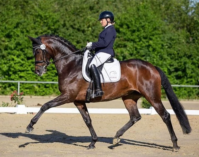 Katrin Burger on Rose of Rhapsody at the Ladenburg Bundeschampionate qualifier :: Photo © private