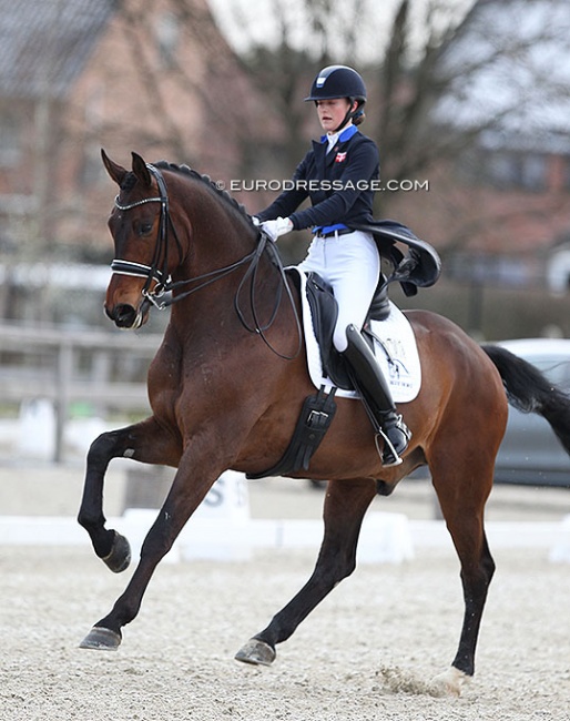 Sophia Ludvigsen and Blue Hors Elliott at the 2022 CDI Opglabbeek :: Photo © Astrid Appels