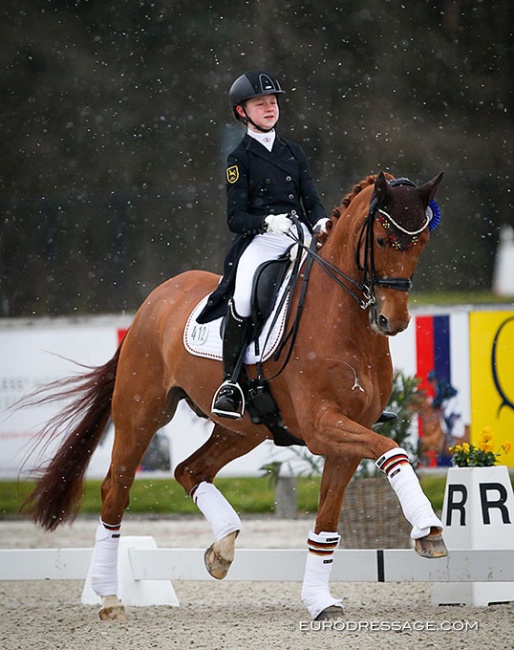 Carolina Miesner and Exclusiv at the 2022 CDI Opglabbeek :: Photo © Astrid Appels