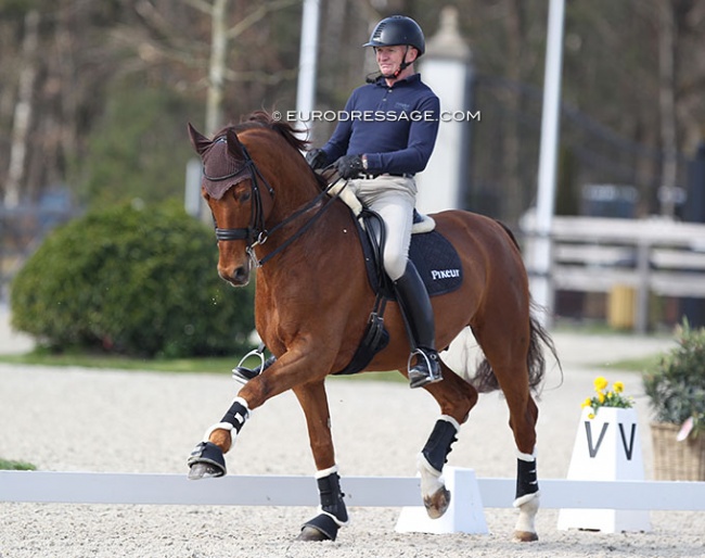 Hubertus Schmidt schooling Denoix at the 2022 CDI Opglabbeek :: Photo © Astrid Appels