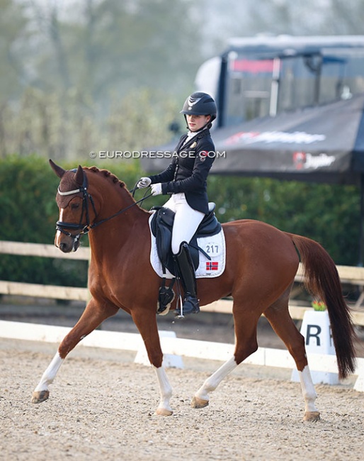 Mira Antonsen Hjelle on Filur af Gronagergard at the 2022 CDI Sint-Truiden :: Photo © Astrid Appels