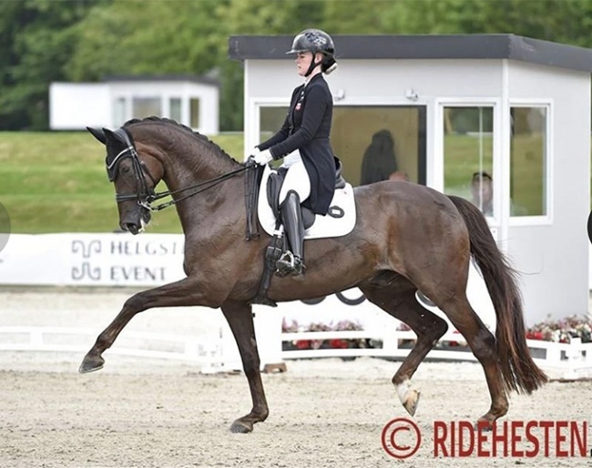 Josefine Hoffmann and Honnerups Driver at the 2022 Danish Dressage Championships :: Photo © Ridehesten