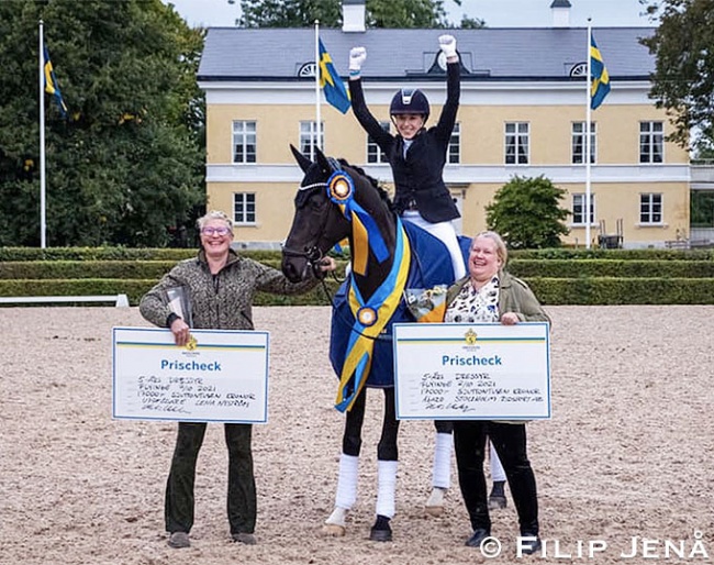 Diploid at the 2021 Swedish Young Horse Championships :: Photo © Filip Jena