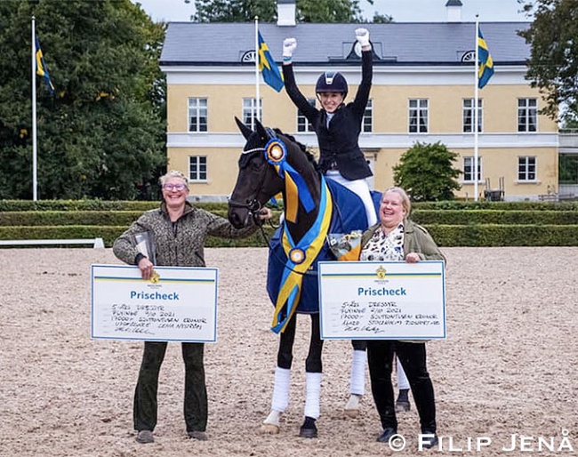 Diploid at the 2021 Swedish Young Horse Championships :: Photo © Filip Jena