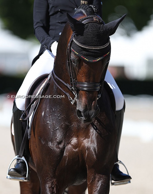 Ingrid Klimke's Franziskus is long listed for team selection for the 2022 World Championships Dressage :: Photo © Astrid Appels