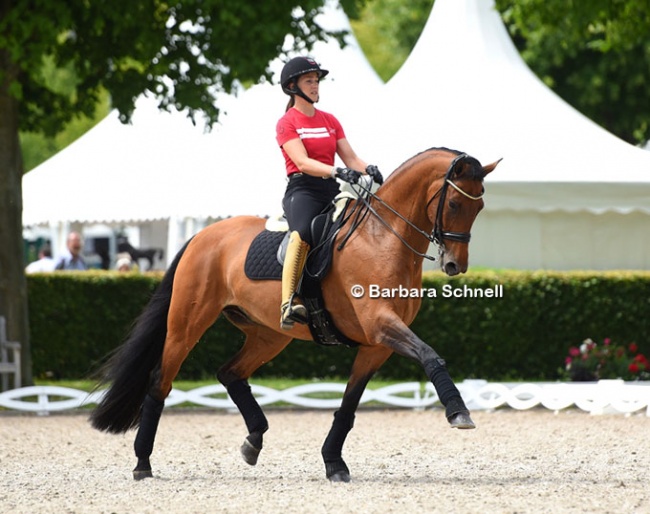 Cathrine Dufour schooling Vamos Amigos at the 2022 CDIO Aachen :: Photo © Barbara Schnell